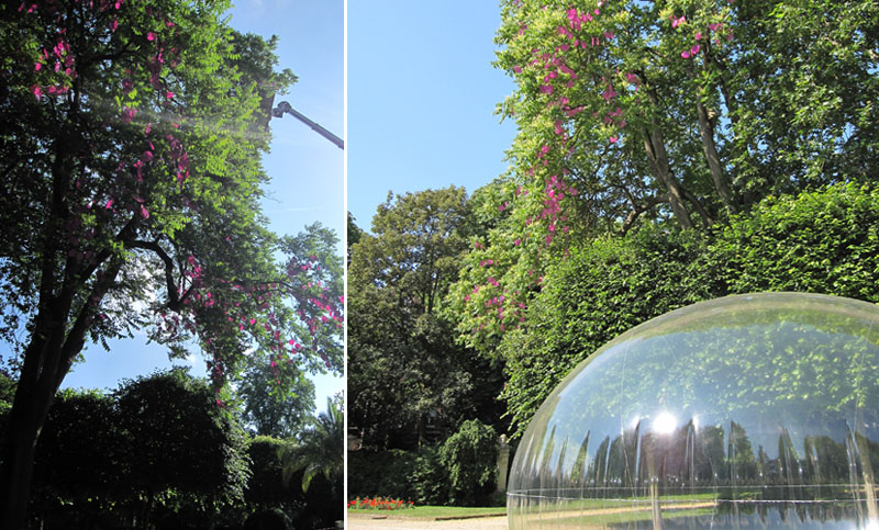 光合成の木、ルーアン植物公園