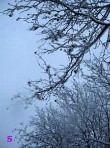 neige2, Photo: S.H.