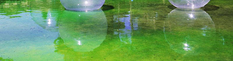 eaufluo1.JPG